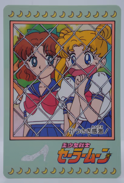 Usagi Kangeki!, Carddass Part 1, no. 21